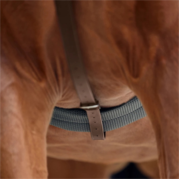 2026 Dublin Running Martingale 1031505 - Brown